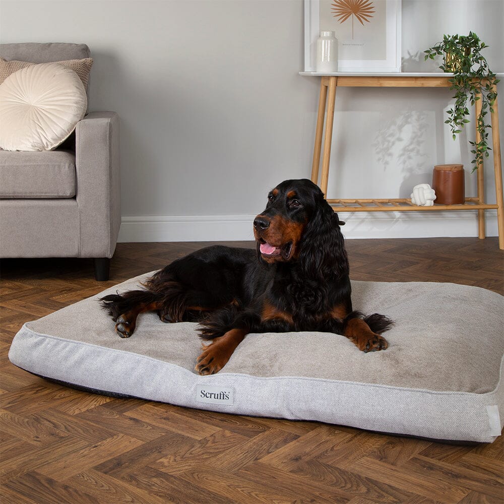 Harvard Memory Foam Mattress - Pearl Grey Dog Bed Scruffs® 
