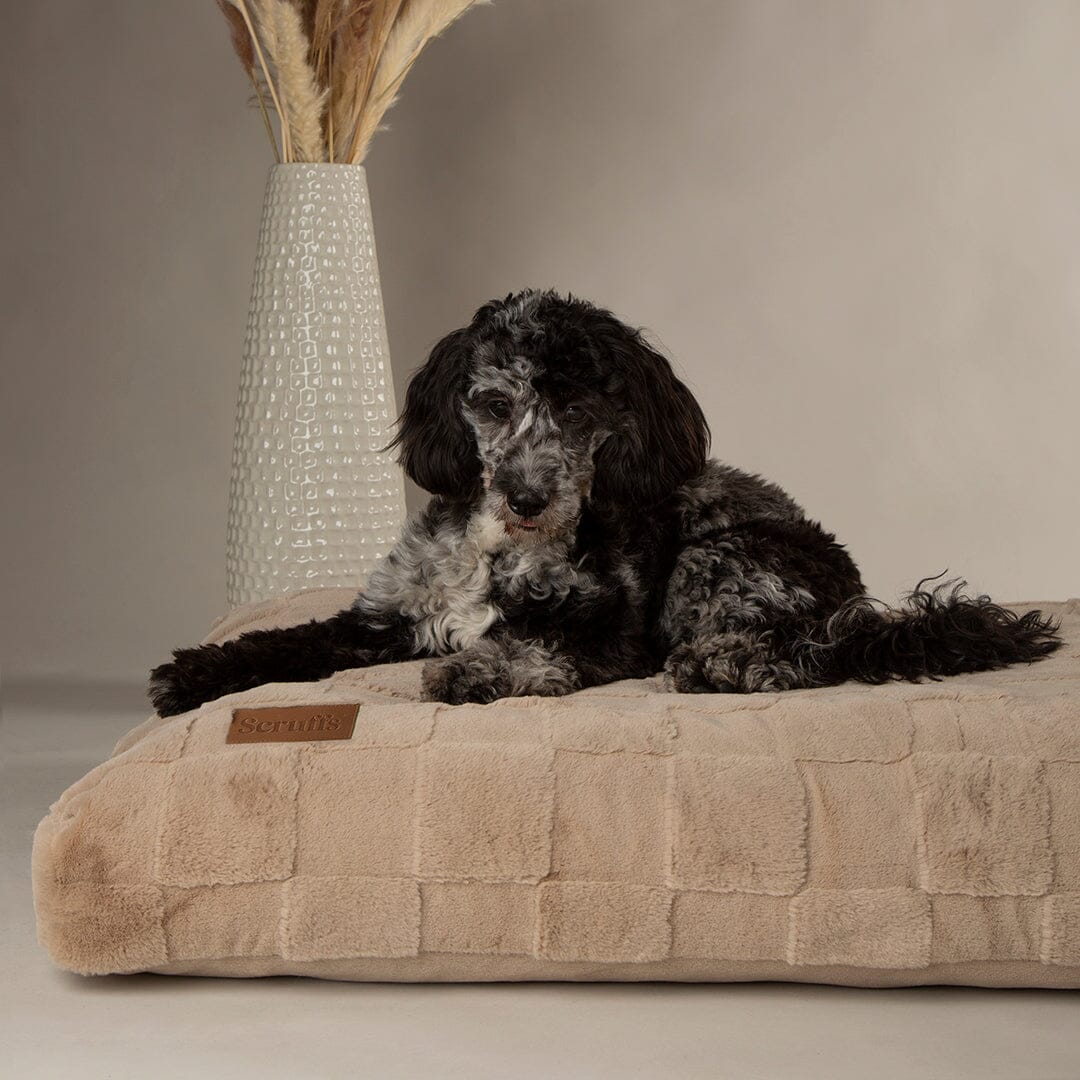 Scruffs Oxford Orthopedic Mattress - Beige Dog Bed - Large Dog Bed 